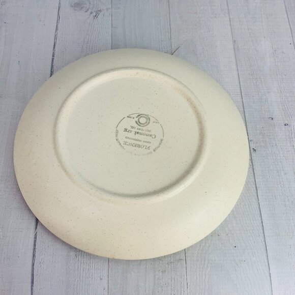 MCM 1960's Canonsburg FLORENCE Beige Speckled Blue Floral Dinner Plates Set 3 - Picture 5 of 9